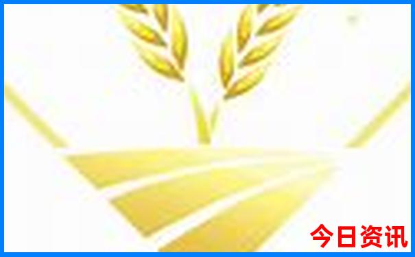 广州报团港澳三日旅游